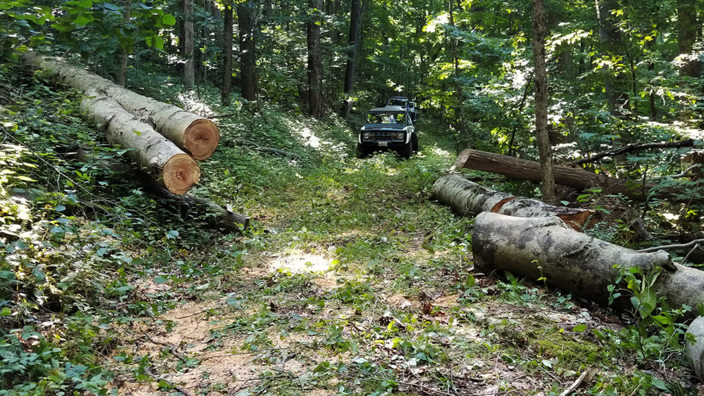 Potomac State Forest Volunteer Weekend