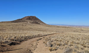 Read more about the article Volcanoes Day Use Area in the Petroglyph National Monument