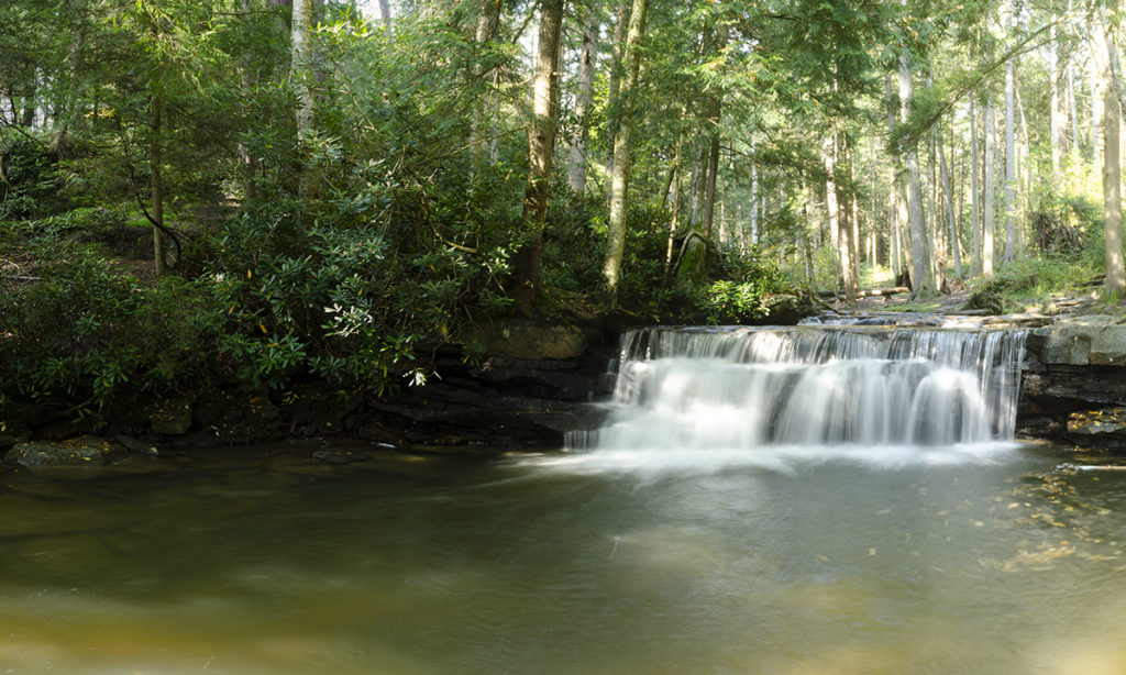 Wolf Den Run & Swallow Falls State Parks