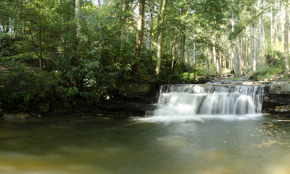 You are currently viewing Wolf Den Run & Swallow Falls State Parks