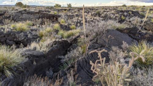 MVIMG 20200313 174743